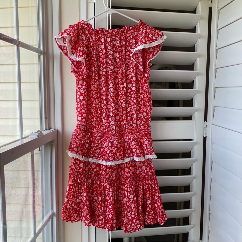 Vici Red Floral Dress - Picture 3 of 6